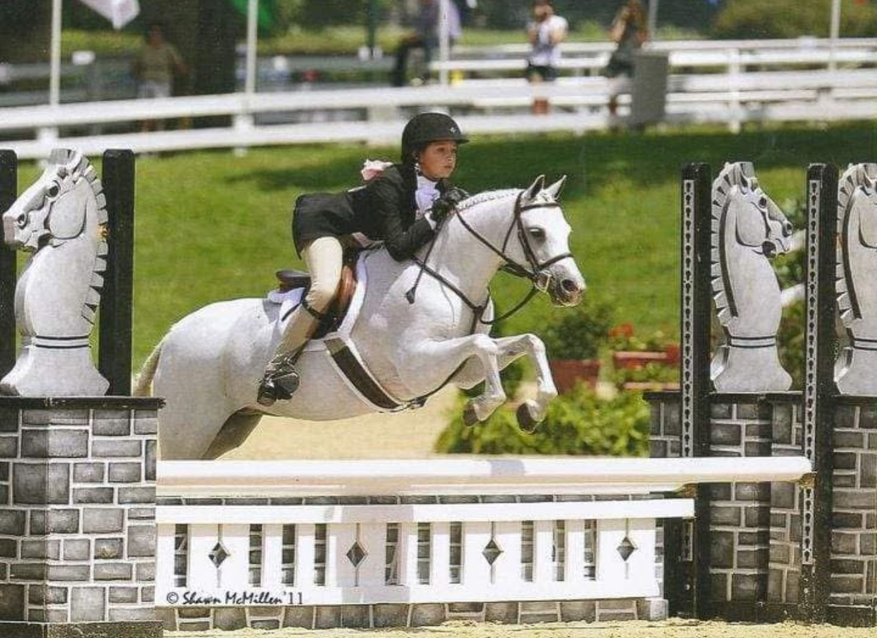 Bo the horse jumping with a rider on his back